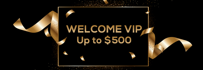 Would you like to have a VIP welcome?