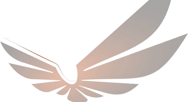 0796373471004-asset-3.png