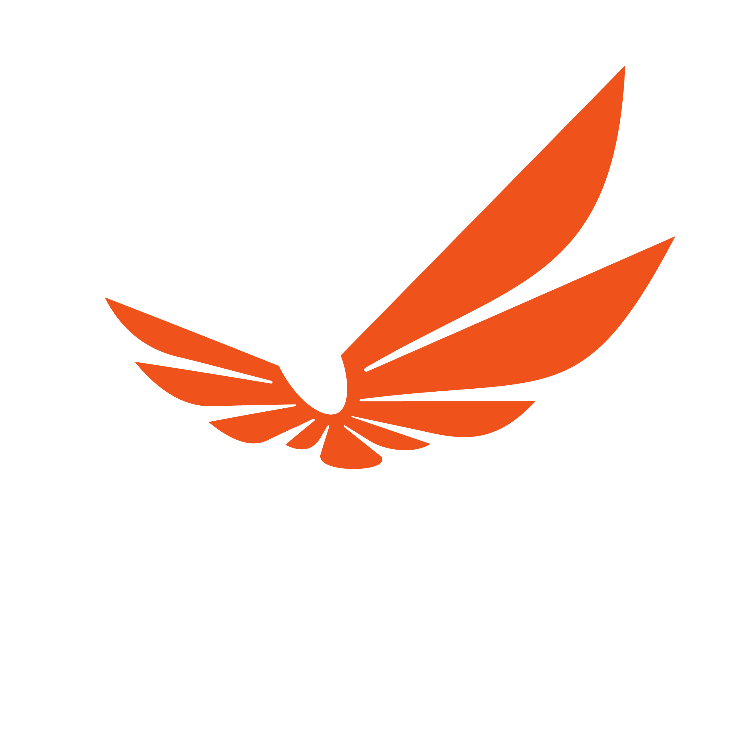 Armenian Esports Federation
