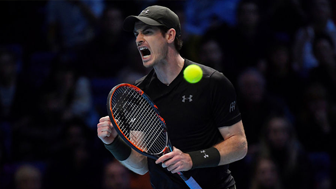 Andy Murray reaches French Open semi-finals