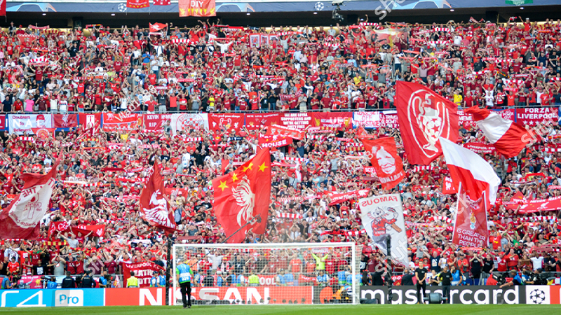 3100-800x450-22.png