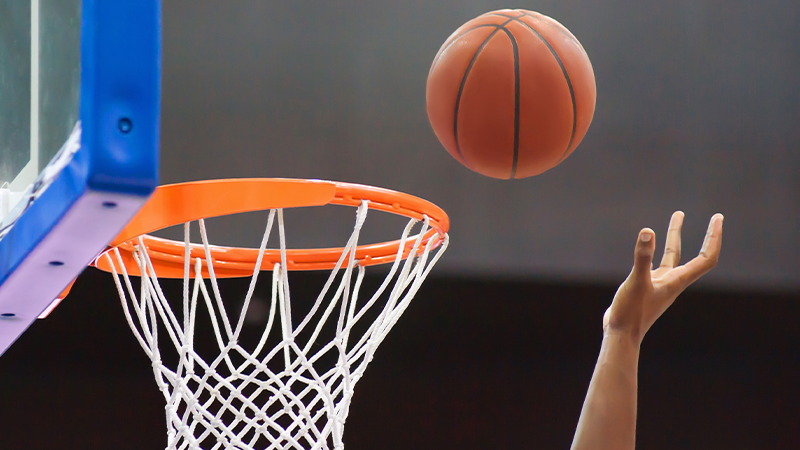 5069-basket2.png