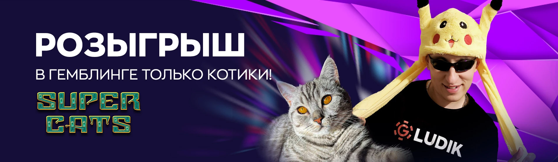 Розыгрыш фриспинов со стримером LUDIK для любителей котиков – и не только!