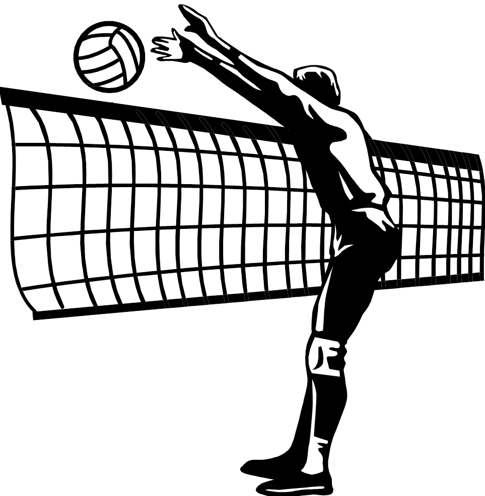 Apostas esportivas online no voleibol