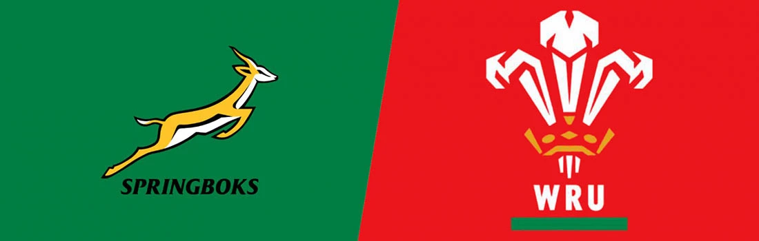 Boks slay the Dragons to win the series 2-1 