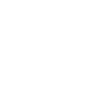 1985-rectangle-18.png