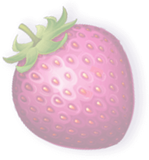 3413-elak-16408559052856.png