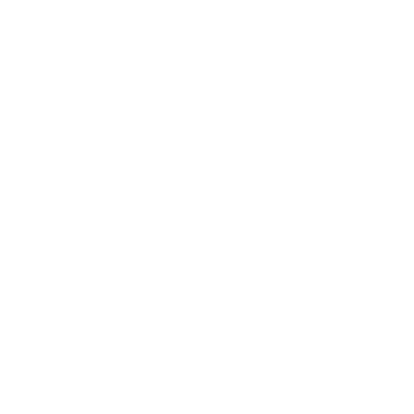 4203-logo111.png