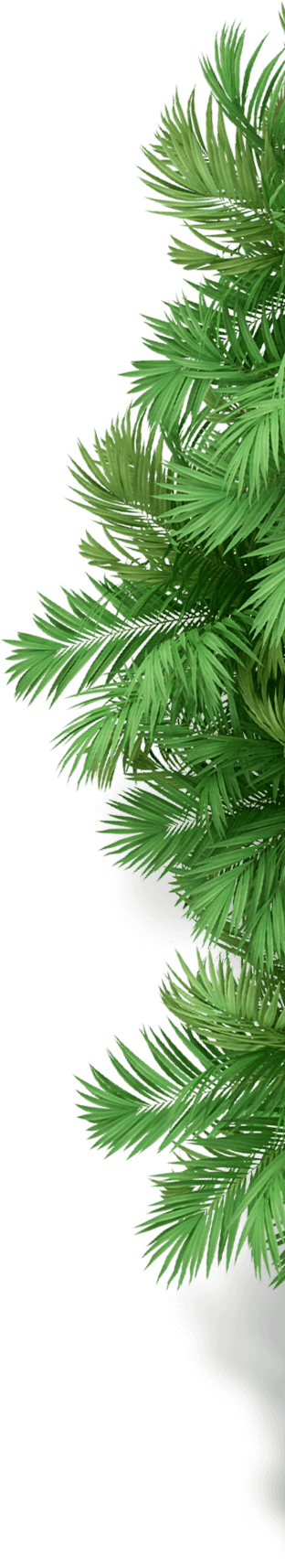 4272-palm-tree-1.png