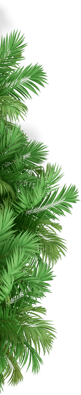 4273-palm-tree-1654496215232.png