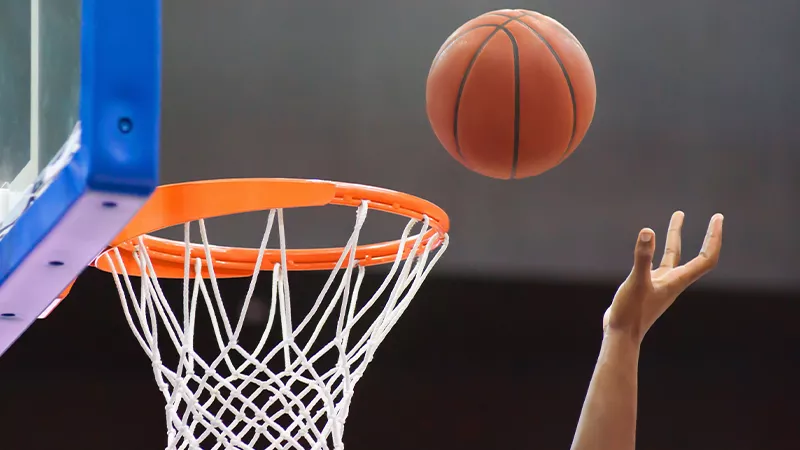 10377-2735-basket2-16830170207969.png