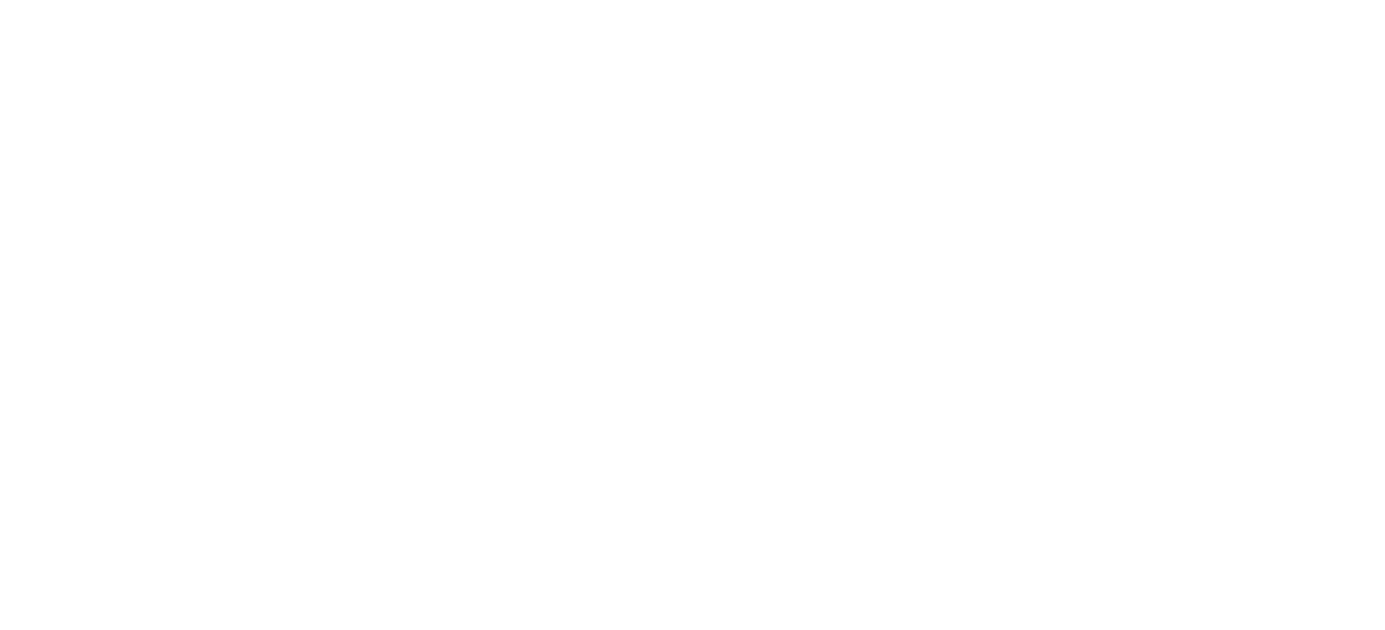 12487-group-13.png