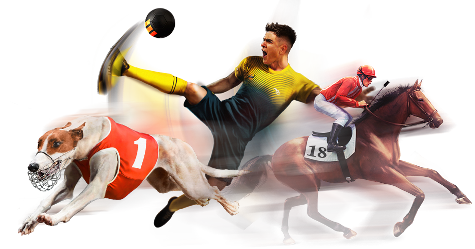 casino n1bet casino n1bet