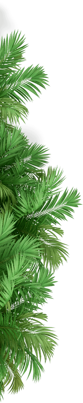 5215-palm-tree-1654496215232.png