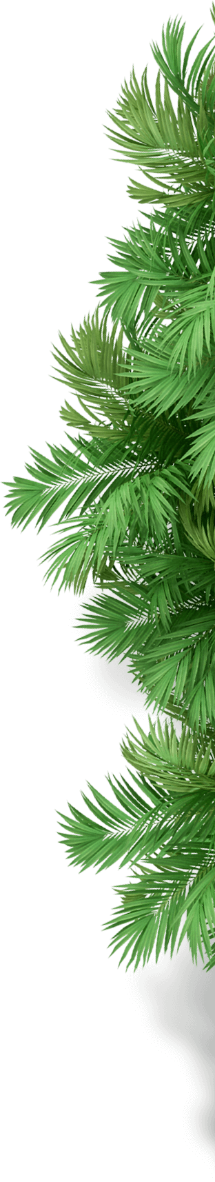 6053-palm-tree-1.png